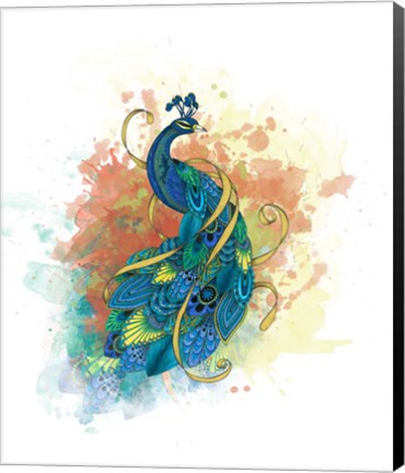 Framed Mr Peacock Print