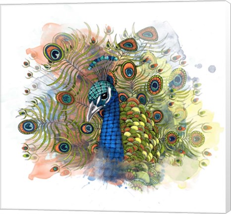 Framed Percival The Peacock Print