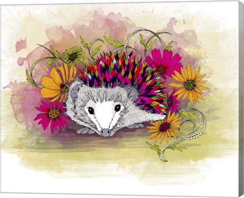 Framed Rainbow Hedgie Print