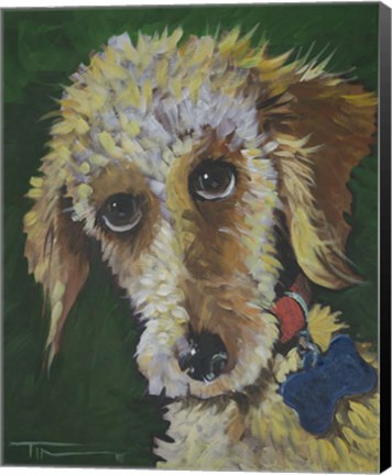 Framed Fuzzy Dog Print