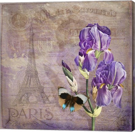 Framed Ville de Paris II Print
