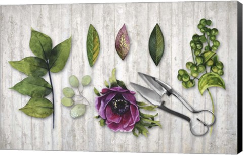 Framed Botanica Print