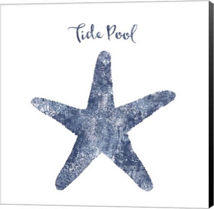Framed Starfish Tide Pool Print