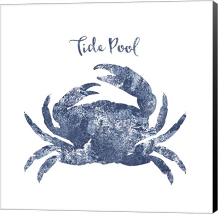 Framed Tide Pool Crab Print