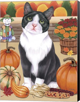 Framed Harvest Cat Print
