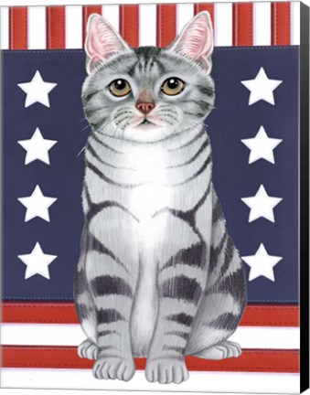 Framed Patriot Cat Print