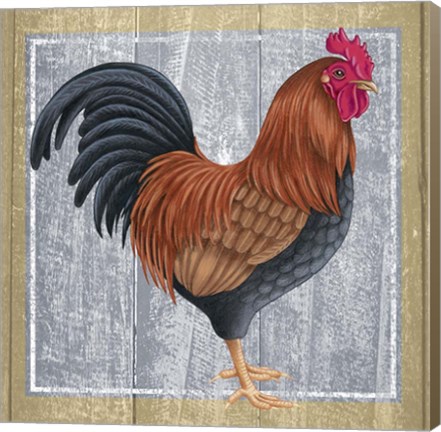 Framed Chicken 1 Print