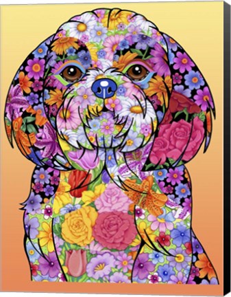 Framed Flowers Shih Tzu Print
