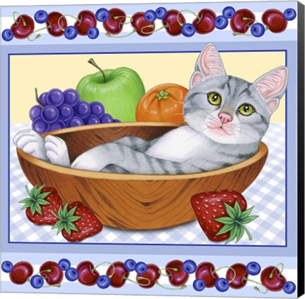Framed Fruit Bowl Kitten Print