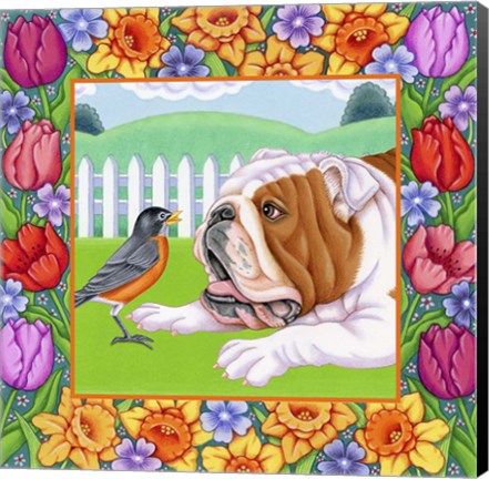 Framed Robin Bulldog Print
