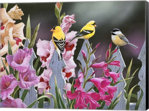 Framed Feathered Friends and Gladiolus Print