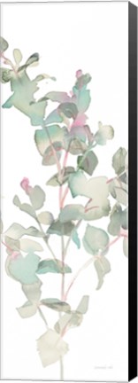 Framed Eucalyptus II White Crop Print