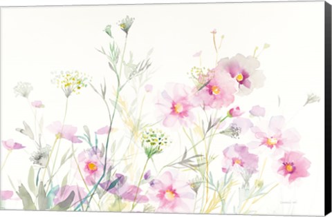 Framed Queen Annes Lace and Cosmos on White Print