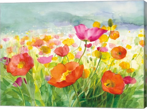 Framed Meadow Poppies Print