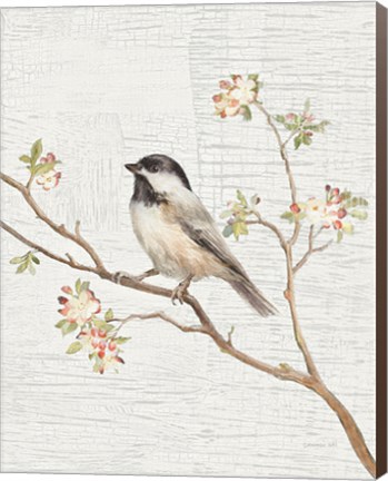 Framed Black Capped Chickadee Vintage v2 Print