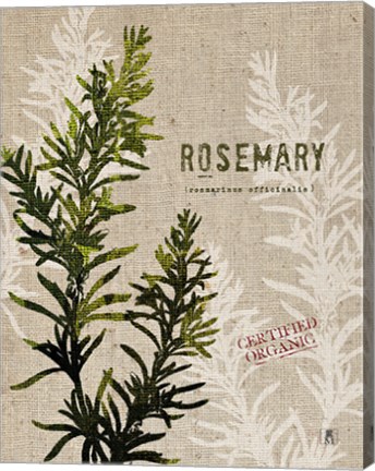 Framed Organic Rosemary No Butterfly Print