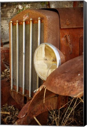 Framed Kleiber Print