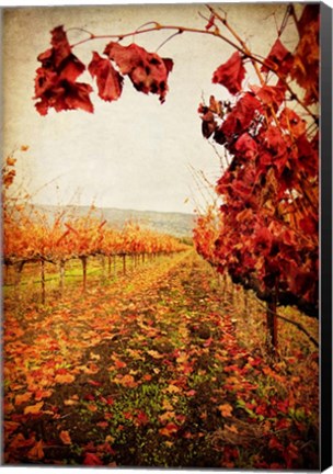 Framed Autumn Vines Print