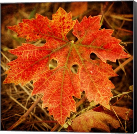 Framed Ochre Foliage Print