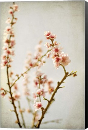 Framed Spring Whispers 2 Print