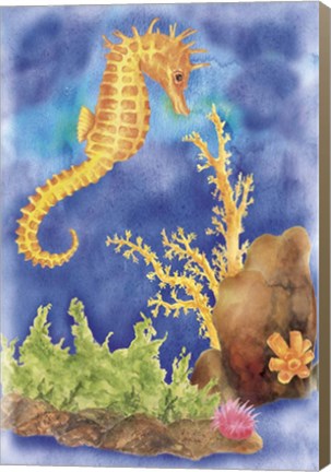 Framed Seahorse Print