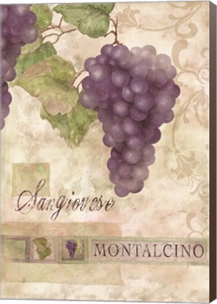 Framed Montalcino Sangiovese 2 Print