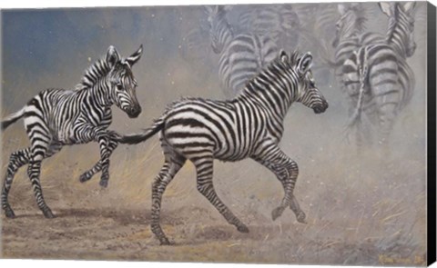 Framed Zebras Print