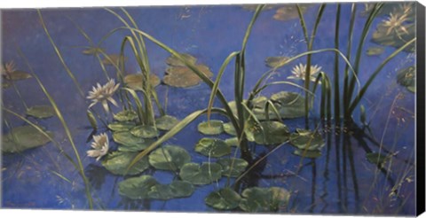 Framed Lilies Print