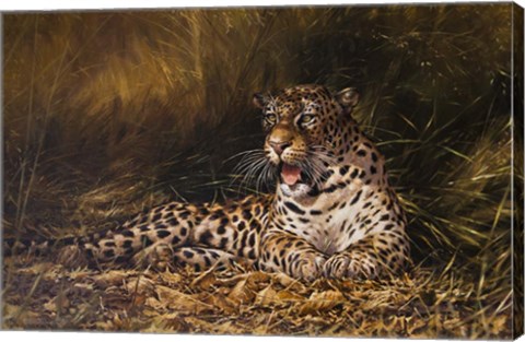 Framed Leopard Print