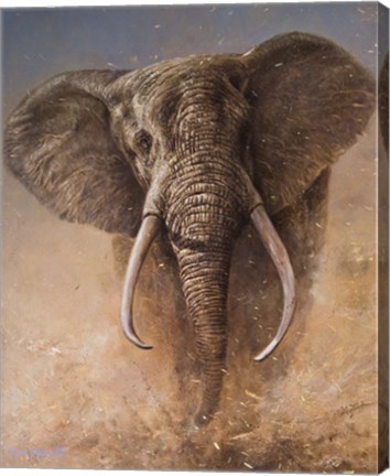 Framed Elephant Print