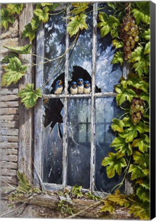 Framed Broken Window Print