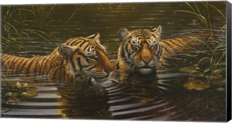Framed In the Water Print