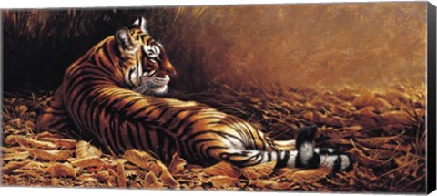 Framed Reclining Tiger Print