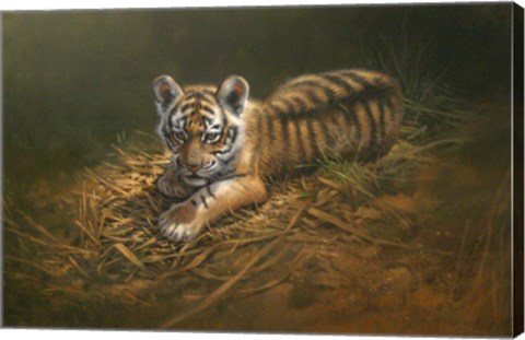 Framed Tiger Cub Print