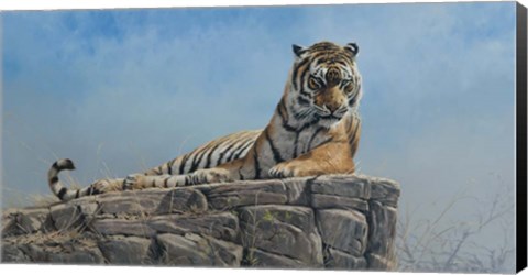 Framed Tiger on Rock Print