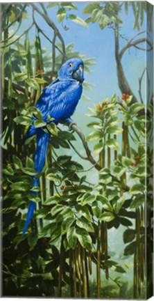 Framed Blue for You Print