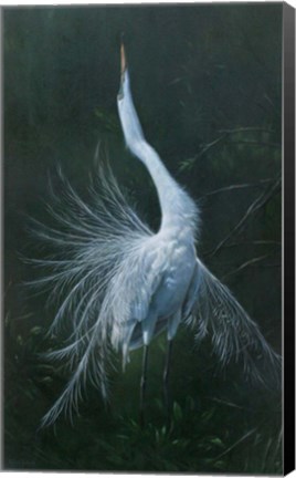 Framed Displaying Egret Print