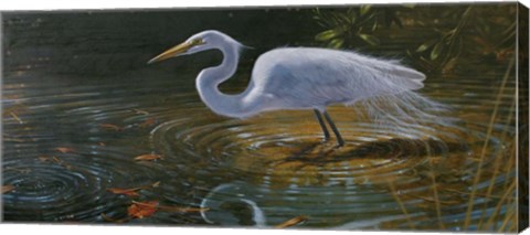 Framed Egret Print