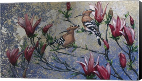 Framed Hoopoe Print