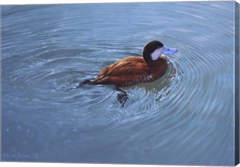 Framed Duck Print