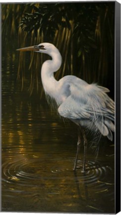 Framed Last Light Print