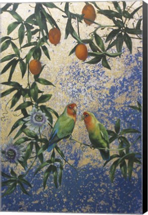 Framed Lovebirds 1 Print