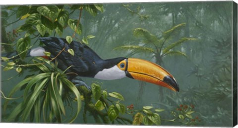 Framed Toco Toucan Print