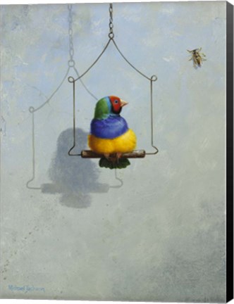 Framed Gouldian Finch Print