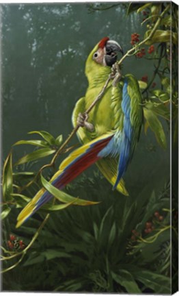 Framed Green Parrot Print
