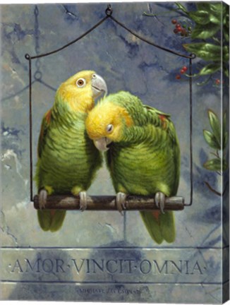 Framed Pair of Lovebirds Print
