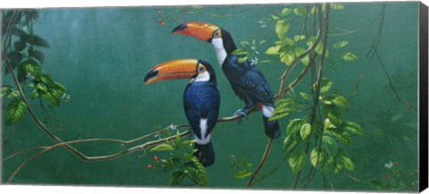 Framed Toucans Print