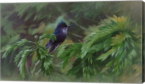 Framed Hidden in the Branches Print