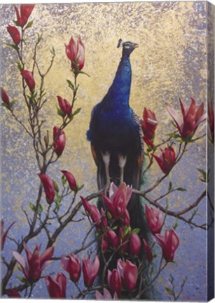 Framed Peacock Print