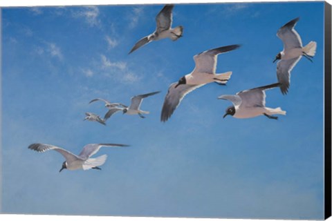 Framed Poetry In Motion Print